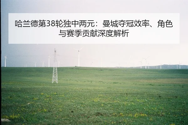 哈兰德第38轮独中两元：曼城夺冠效率、角色与赛季贡献深度解析
