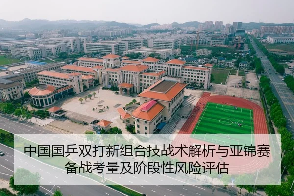 中国国乒双打新组合技战术解析与亚锦赛备战考量及阶段性风险评估